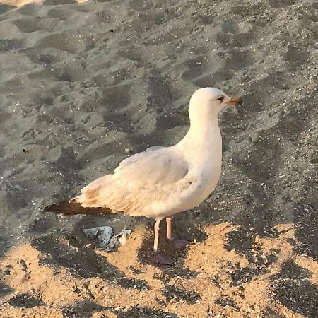 드판 Le Beau Coin 빌라 외부 사진